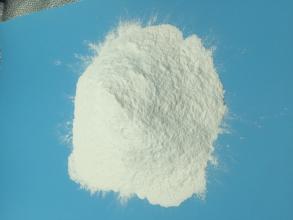 ���������X